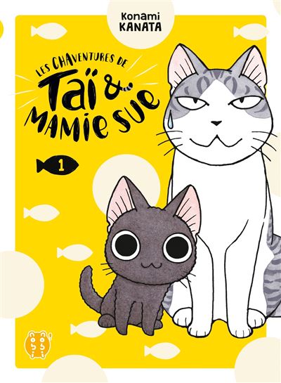 les chaventures de tai et mamie sue